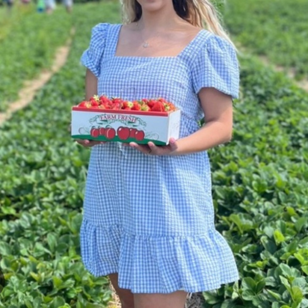 Blue Gingham Dress